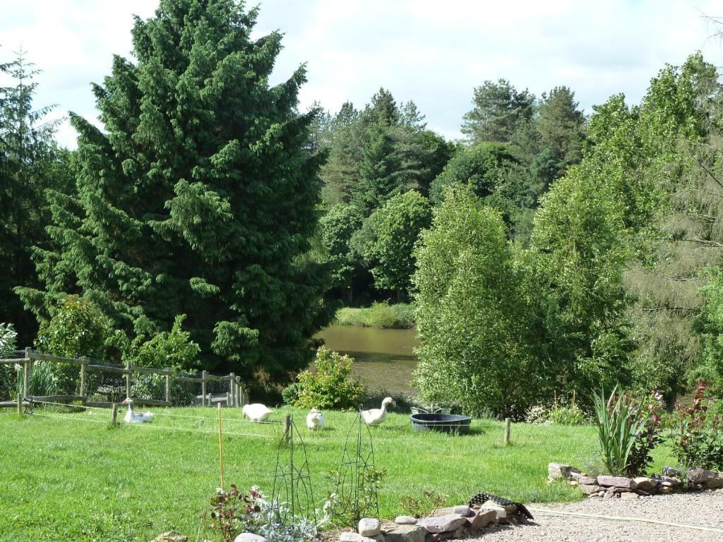 Chambres D'Hotes Logis De L'Etang De L'Aune Iffendic Exteriér fotografie